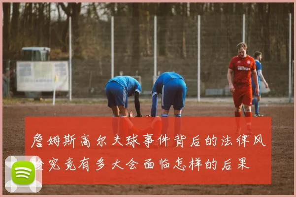 詹姆斯高尔夫球事件背后的法律风险究竟有多大会面临怎样的后果